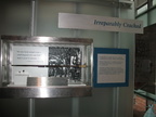 IMG 0888